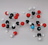 XMM-105-Molecular-Model-Set-Hyaluronic-Acid(HA)-Unit