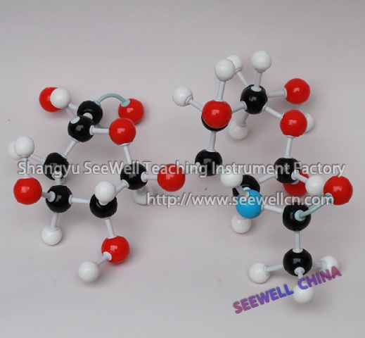 XMM-105-Molecular-Model-Set-Hyaluronic-Acid(HA)-Unit